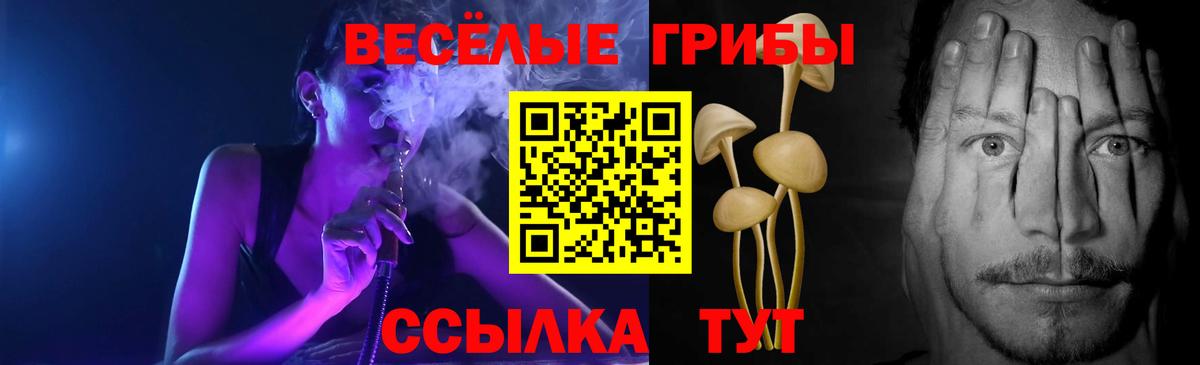 Ярославль  где продают наркотики  Вход с VPN  Галлюциногенные грибы Psilocybine cubensis 
